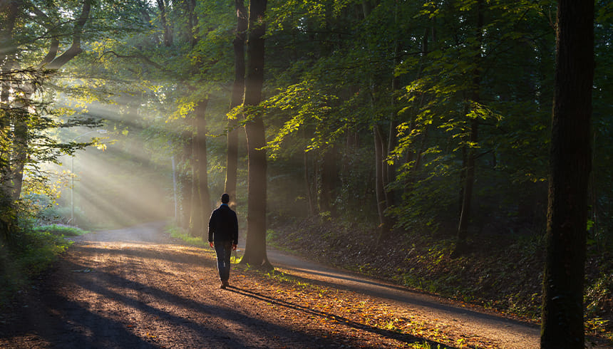 Konklusion: Hvor mange skridt om dagen?