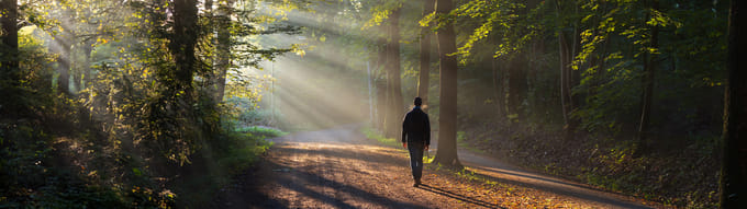 Ny forskning: Så mange skridt skal du gå om dagen