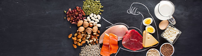 Så meget protein kan du optage i ét måltid