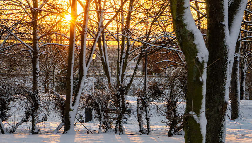Strategi 4: Bruk lys som en hjelp