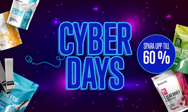 2024/0228-01-2024-11-cyber-days/main