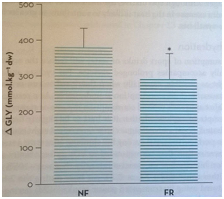 Clinical sports nutrition anmeldelse