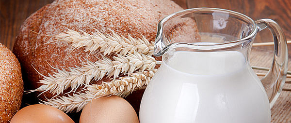 Er mælk sundt eller usundt?