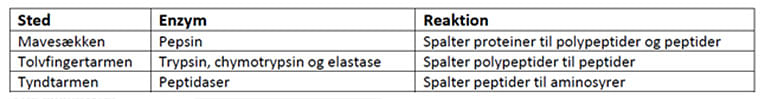 Kostens protein figur 3