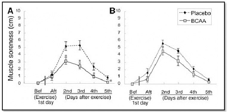 Kosttilskud med BCAA forbedre DOMS figur 2