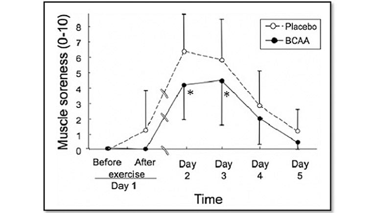 Kosttildkud BCAA forbdre DOMS figur