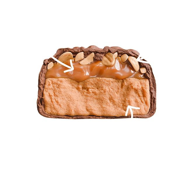 Protein Bar Salted Peanut Caramel