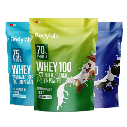 Bodylab Whey 100 (1 kg)