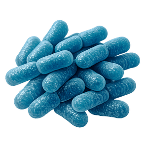 Bifidobacterium bifidum