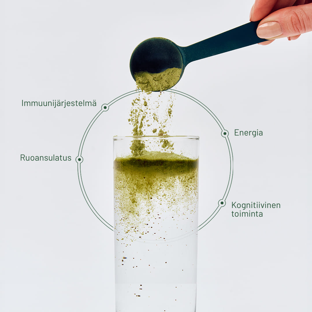 Päivittäiset rutiinit oikeille ihmisille