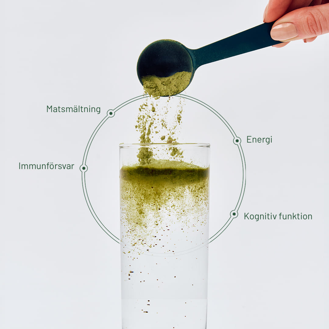 Daily Routines for real people