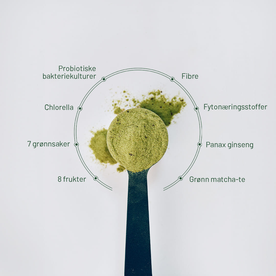 Daily Routines for real people