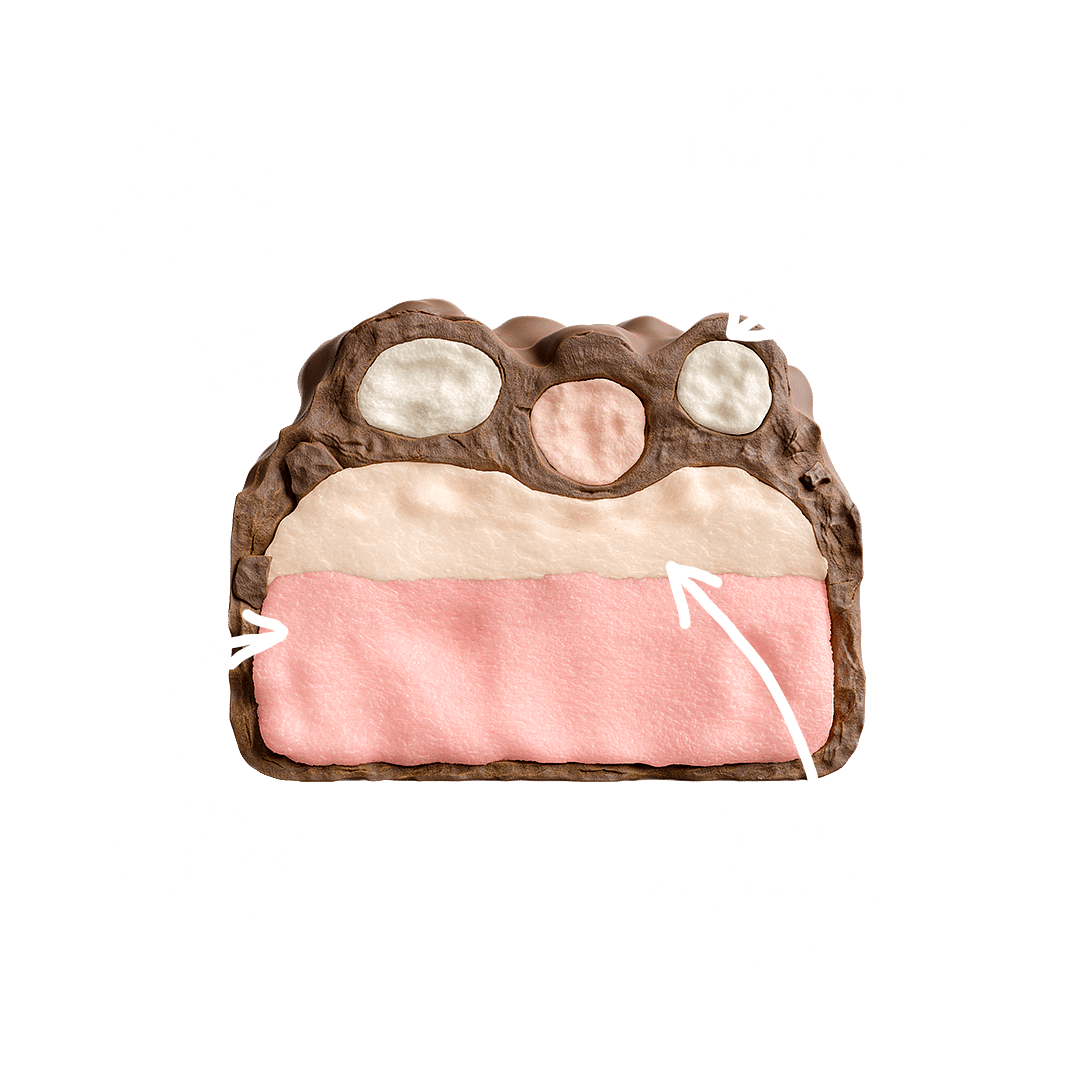 Protein Bar Skumnisse