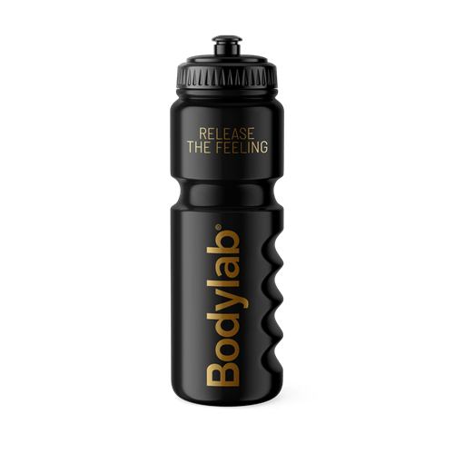 Bodylab Water Bottle (750 ml)