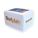 Bodylab Whey 100 (12 x 30 g)